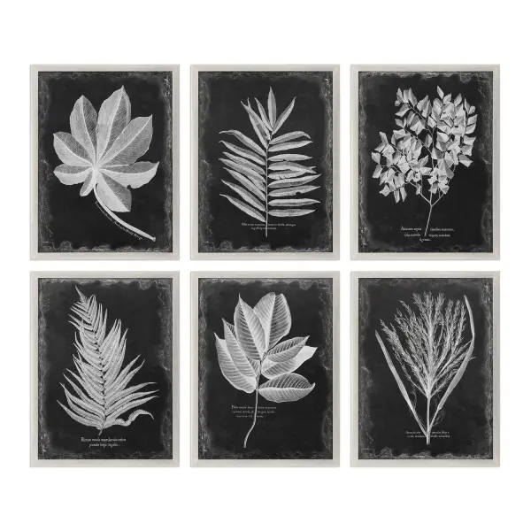 A striking black and white botanical print in a petite champagne silver frame, blending vintage charm with modern edge under protective glass.