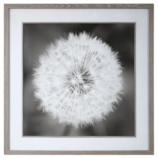 A large-scale black and white dandelion print in a driftwood gray pine frame, this piece brings soft, organic texture and a calming neutral palette to any wall.