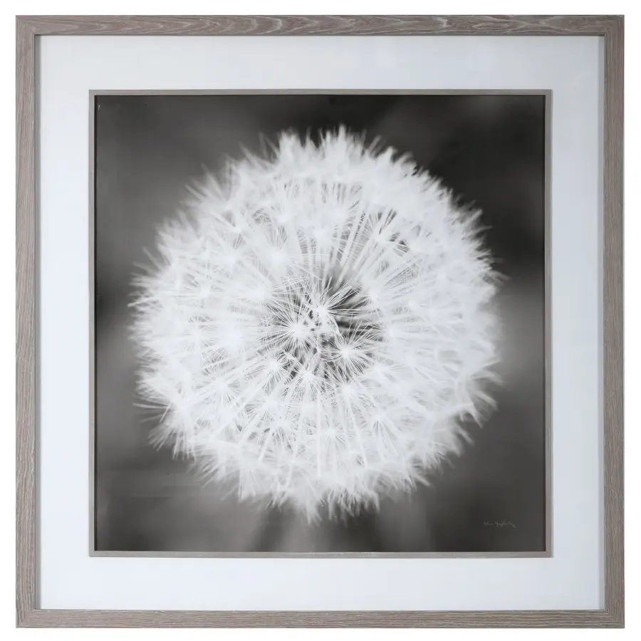 Uttermost Dandelion Seedhead Framed Print in Driftwood Look