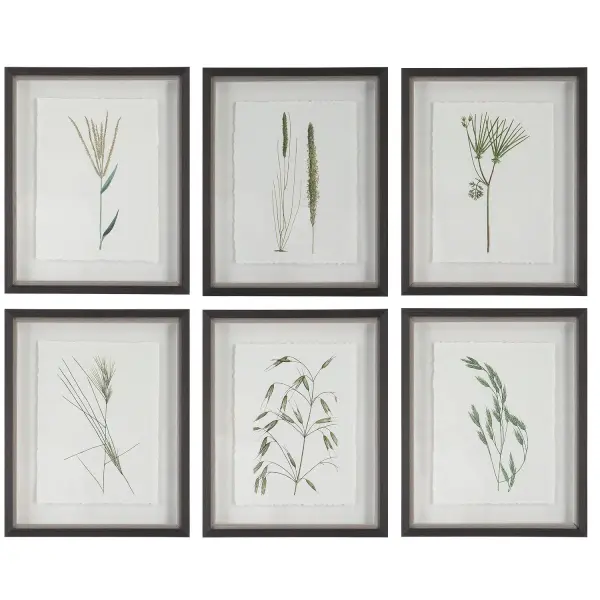 A set of six shadowbox-framed nature prints with deckled edges and a dark espresso frame, adding rustic texture and understated charm to walls.