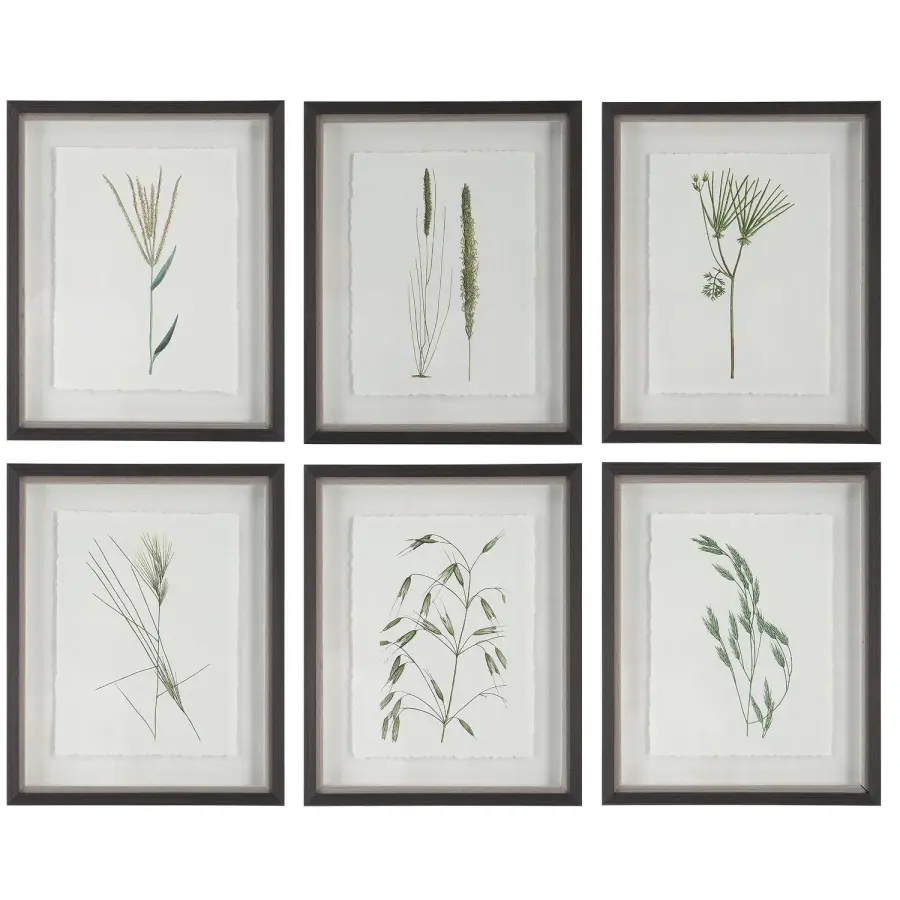 Forest Finds Framed Prints, Set of 6 in Dark Espresso