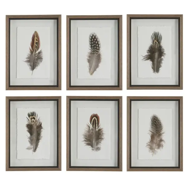 A set of six shadowbox-framed feather prints in warm brown, cream, and charcoal tones. Rustic wood frames and deckled edges add texture to gallery walls.