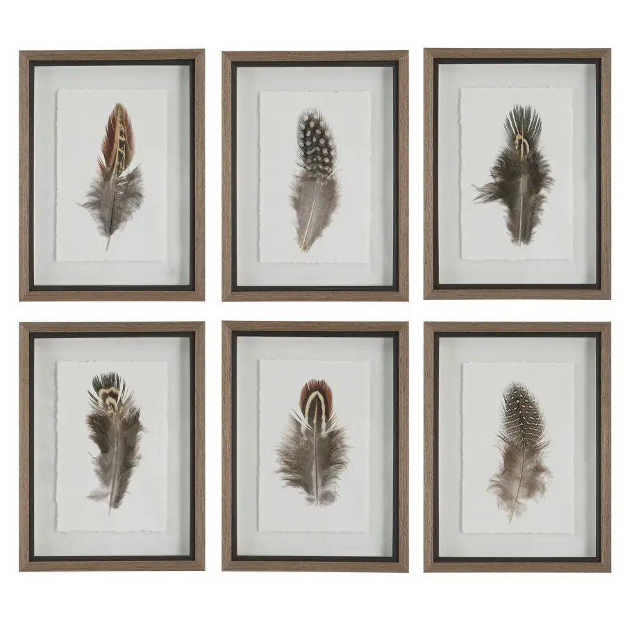 Birds Of A Feather Framed Prints, Set of 6 in Natural Wood Tone
