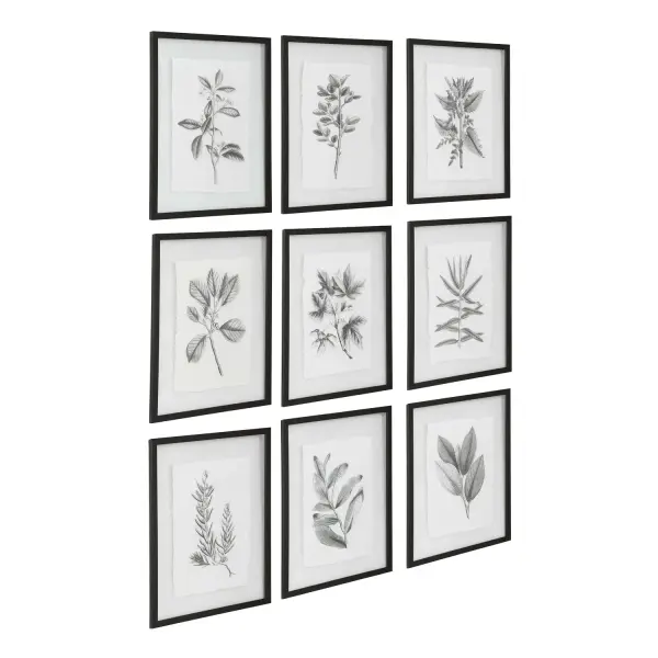 A More Modern Take On Classic Botanical Prints, This Set Of Artwork Showcases A Classic Black And White Theme With Deckled Edges. Each Print Is Placed Under Glass And Accented By A Petite Distressed Matte Black Finished Frame. Collection: Farmhouse Florals Designer: Grace Feyock Finish: Matte Black Width: 17.50" Height: 23.00" Length: 0.75" Weight: 7.00 lb Extension from Wall: 0.75" Material: Iron, Glass, Cotton Paper Country of Origin: China Safety Rating: Indoor Only