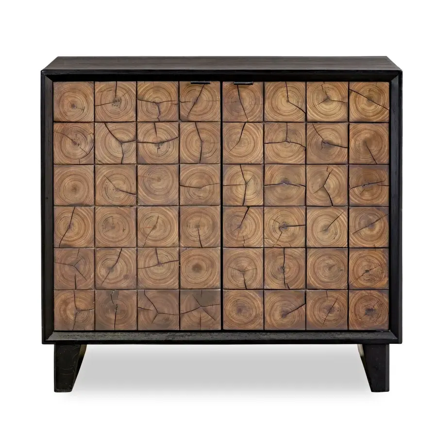 Muestra Two-Door Cabinet in Sleek Black