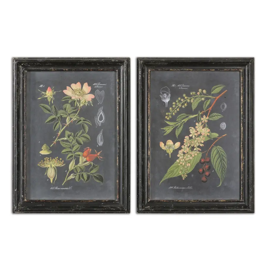 Midnight Botanicals Wall Art in Black