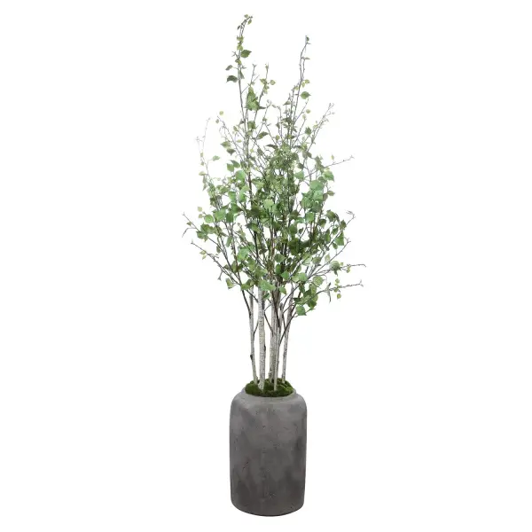 Life-like River Birch Stems Creating A Minimalist Modern Statement Featuring Faux Moss And An Aged Stone Finished Concrete Urn. Collection: Aldis Designer: Constance Lael-Linyard Finish: Aged Stone Width: 28.00" Height: 72.00" Length: 28.50" Weight: 29.00 lb Material: Polyester, Plastic, Iron, Vase Country of Origin: China Safety Rating: Indoor Only