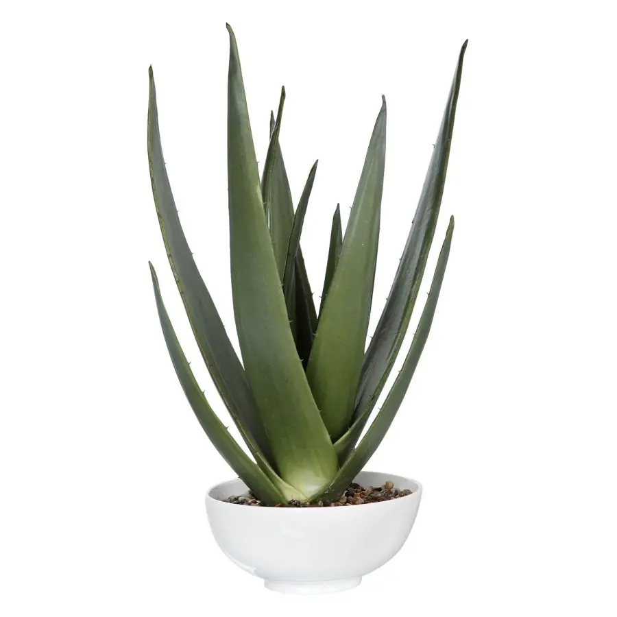 Uttermost Evarado Faux Aloe Vera Planter in Glossy White