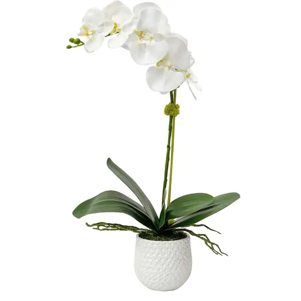 A realistic preserved-look orchid stem with moss accents in a textured white ceramic pot brings soft, natural texture to shelves and tables with zero upkeep.