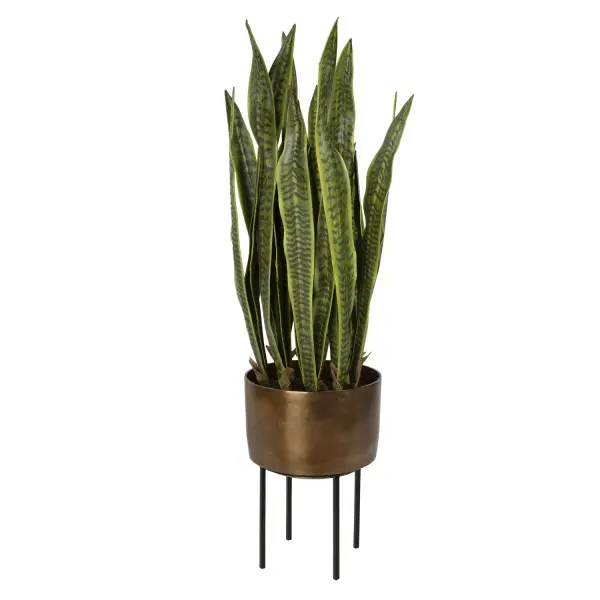 Accent Your Space With This Life-like Snake Plant, Featuring A Contemporary Antique Brass Pot Nested In A Matte Black Metal Stand. Stand Is A Separate Piece And Allows For The Pot To Be Displayed Directly On A Surface. Collection: Fasita Finish: Antique Brass Width: 15.00" Height: 44.00" Length: 15.00" Weight: 17.00 lb Material: Metal, Iron, Polyfoam, Glue, Soil Country of Origin: China Safety Rating: Indoor Only