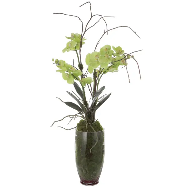 This tropical faux flower arrangement in a clear glass vase offers a maintenance-free way to add organic texture and color to a tabletop or console.