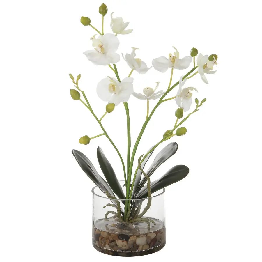 Glory Artificial White Orchid in Clear Glass Container