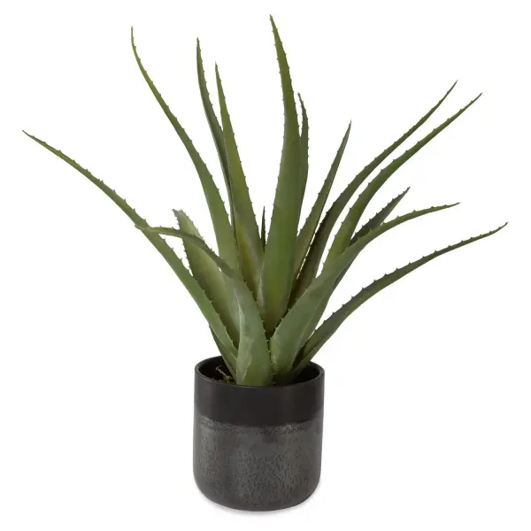 A contemporary ceramic pot with mixed textured, matte, and gloss glazes holds a preserved aloe vera over moss—maintenance-free greenery for indoor styling.