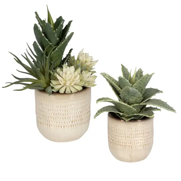 A set of two textured ceramic containers with faux spiked succulents in a neutral tan glaze, ideal for adding organic, low-maintenance greenery to shelves and tabletops.