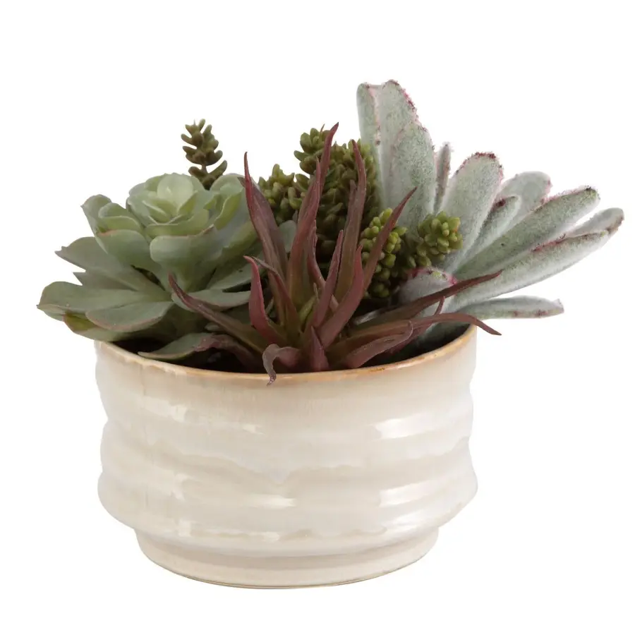 Mesa Succulent Accent in Textured Tan Glazed Ceramic Pot
