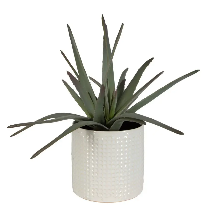 Taos Ivory Glazed Ceramic Aloe Centerpiece