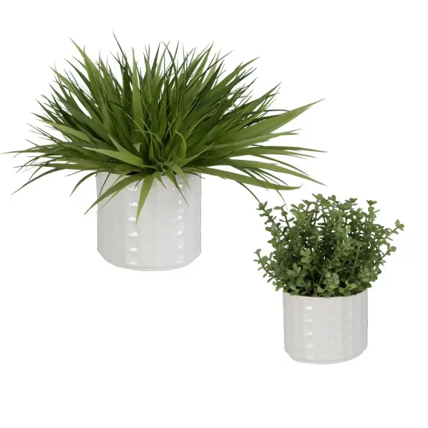 This set of two faux grass and sedum arrangements in textured white ceramic pots adds low-maintenance greenery to shelves, consoles, or tabletops.