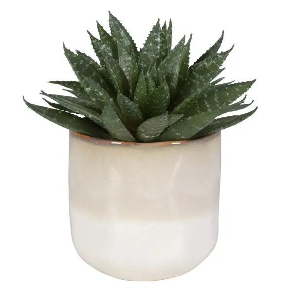 This faux zebra aloe cluster in an ombre glazed ceramic pot brings low-maintenance greenery and modern texture to shelves, desks, or tabletops.