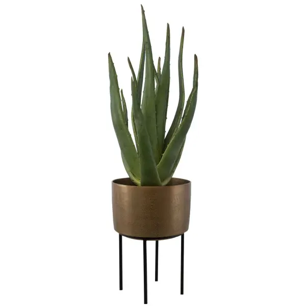 Accent Your Space With This Life-like Aloe Plant, Featuring A Contemporary Antique Brass Pot Nested In A Matte Black Metal Stand. Stand Is A Separate Piece And Allows For The Pot To Be Displayed Directly On A Surface. Collection: Arabia Finish: Antique Brass Width: 19.70" Height: 37.00" Length: 19.70" Weight: 17.00 lb Material: Foam, Aluminum, Cement, Iron Country of Origin: China Safety Rating: Indoor Only
