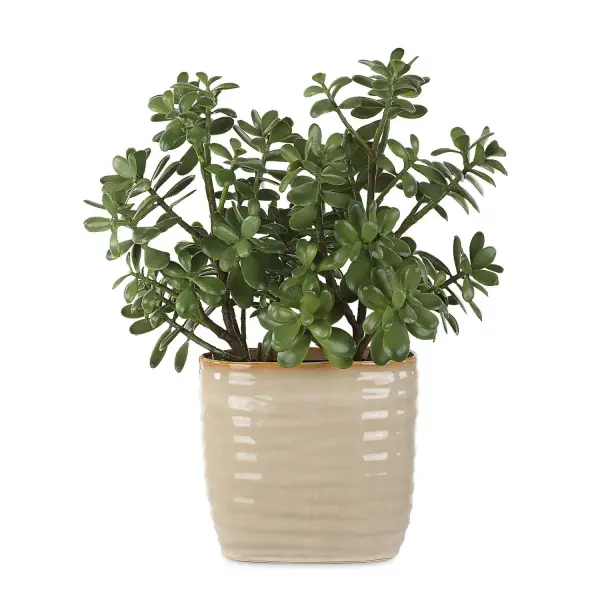 Life-like Branches Of Jade Billow Over A A Textured Tan, Glazed Ceramic Pot. Collection: Crassula Jade Designer: Constance Lael-Linyard Finish: Textured Tan Width: 18.00" Height: 23.50" Length: 13.75" Weight: 4.00 lb Material: Polyester, Plastic, Polyfoam, Ceramic Country of Origin: China Safety Rating: Indoor Only