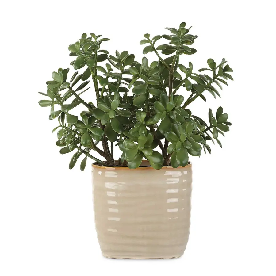 The Uttermost - Crassula Jade by Uttermost