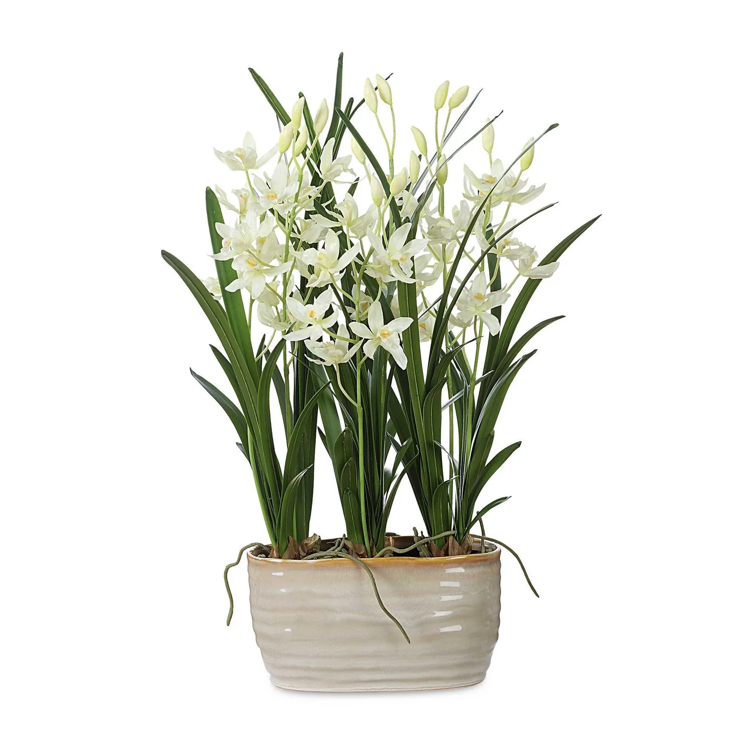 Ariana Orchid Planter in Cream
