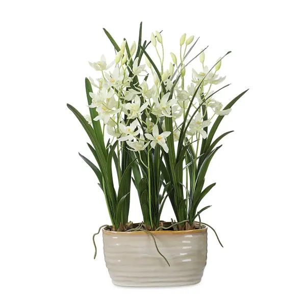 Sprays Of Cream Cymbidium Orchids With Lush Green Foliage Are Nestled Into A Textured, Tan Glazed Ceramic Planter With Faux Soil. Collection: Ariana Orchid Designer: Constance Lael-Linyard Finish: Cream Width: 16.75" Height: 24.38" Length: 15.50" Weight: 4.00 lb Material: Polyester, Plastic, Polyfoam, Ceramic Country of Origin: China Safety Rating: Indoor Only