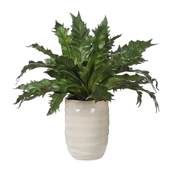 Lush Sprays Of Rich Greenery, The Bird's Nest Fern Is A Symbol Of New Beginnings. Planted In A Textured Tan Glazed Ceramic Pot. Collection: Verdure Fern Designer: Constance Lael-Linyard Finish: Textured Tan Width: 18.75" Height: 16.25" Length: 18.75" Weight: 3.00 lb Material: Polyester, Plastic, Polyfoam, Ceramic Country of Origin: China Safety Rating: Indoor Only
