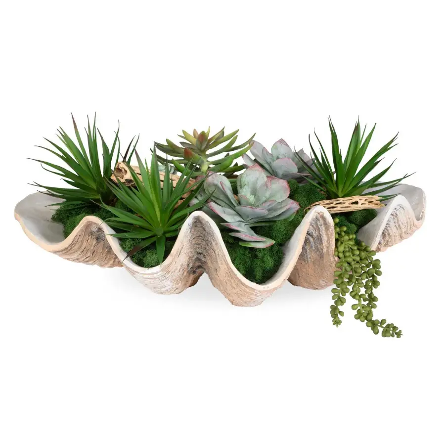 Uttermost Seaside Breeze Succulents in Natural Clam Shell Bowl