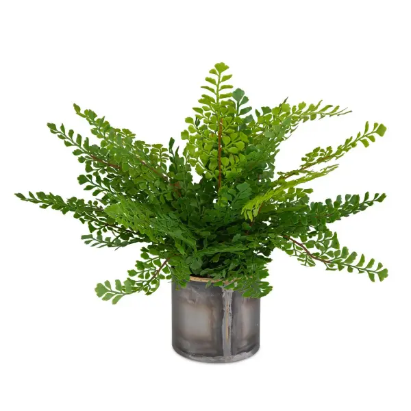 A faux maidenhair fern arrangement in an oxidized gold metal container, bringing low-maintenance greenery and warmth to tabletops and shelves.