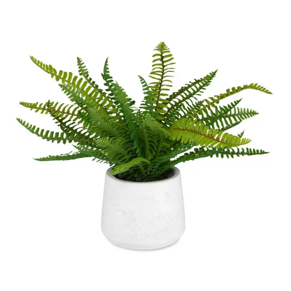 This faux Boston Fern in a sleek white ceramic pot brings structured, textural greenery to any tabletop without the upkeep of live plants.
