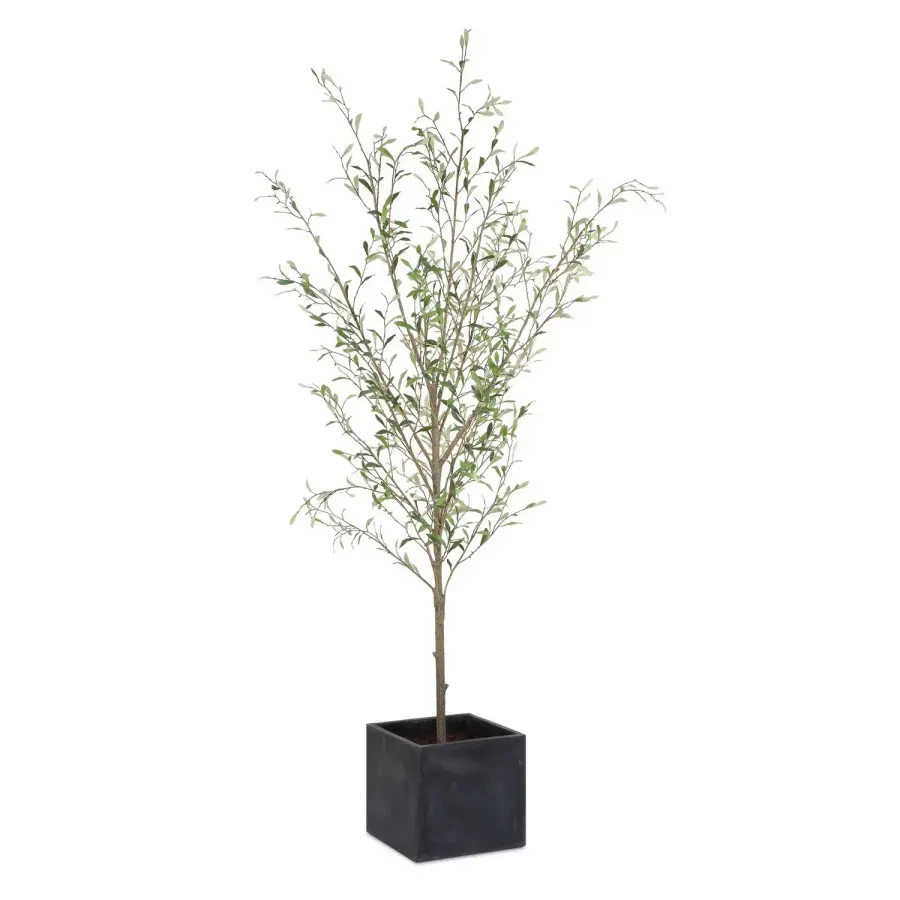 The Uttermost - Abundance by Uttermost