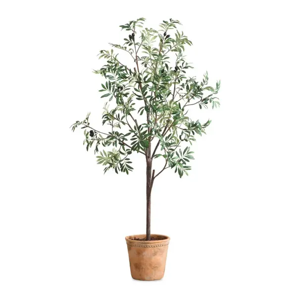 A tall faux olive tree with realistic foliage and fruit clusters, potted in a scalloped terracotta-finish concrete container. Great statement piece for large open spaces.