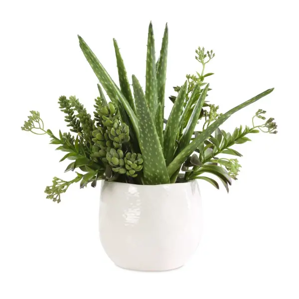 A Fresh And Textural Mix Of Arid Succulents, Including Aloe, Crassula, Sedum And Echeveria, Nestled In A Mottled Gloss White Ceramic Planter. Collection: Sundown Succulent Designer: Constance Lael-Linyard Finish: Gloss White Width: 14.00" Height: 16.50" Length: 13.00" Weight: 4.00 lb Material: Polyfoam, Plastic, Iron, Ceramic Country of Origin: China Safety Rating: Indoor Only