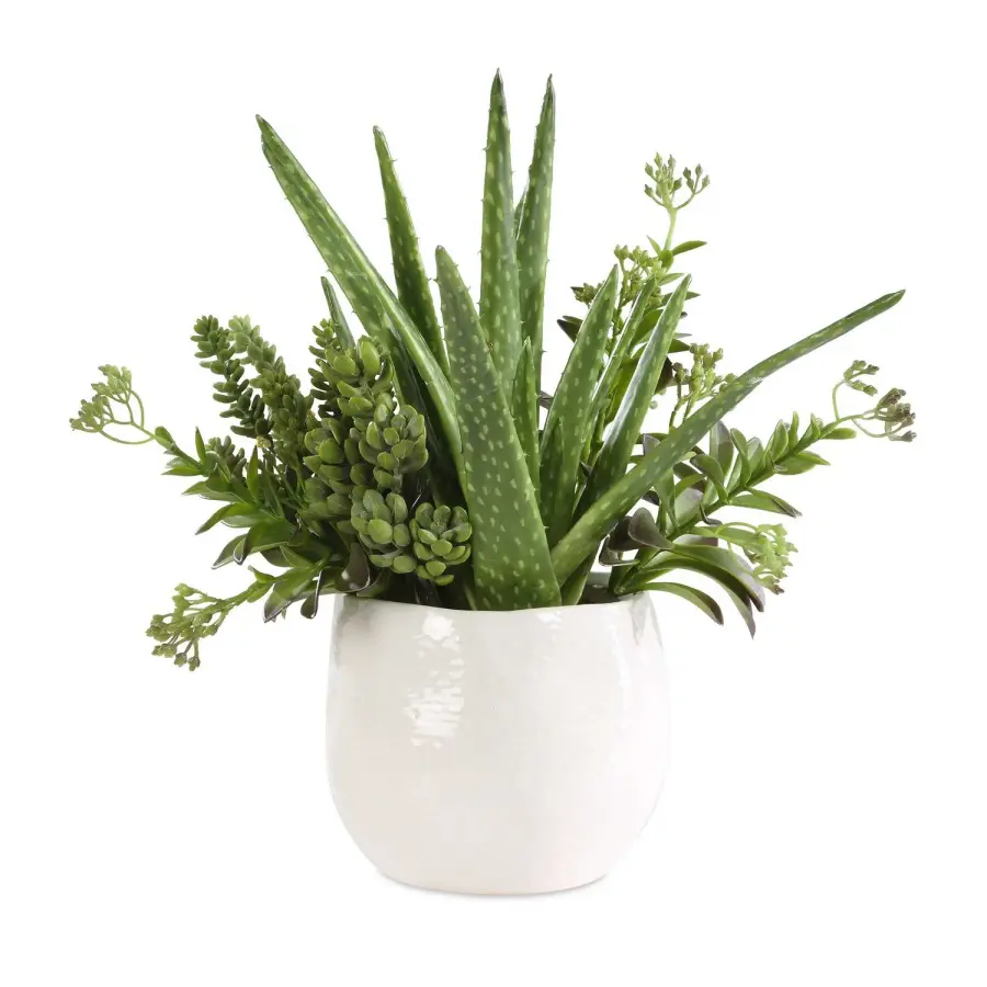 Sundown Succulent Planter in Gloss White