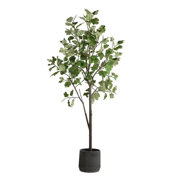 A large-scale faux fig tree with lush lobed foliage and faux fruits, set in a charcoal black concrete pot. Disassembles for easy setup.