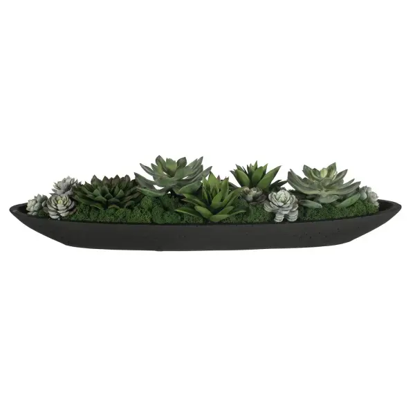 Lush Succulents Nestled Into A Bed Of Reindeer Moss And Displayed In A Cast Black Man-made Stone Boat Container. Collection: Verde Finish: Black Width: 29.00" Height: 6.00" Length: 8.00" Weight: 10.00 lb Material: Latex, Resin,Moss,Foam,Rock Country of Origin: USA Safety Rating: Indoor Only