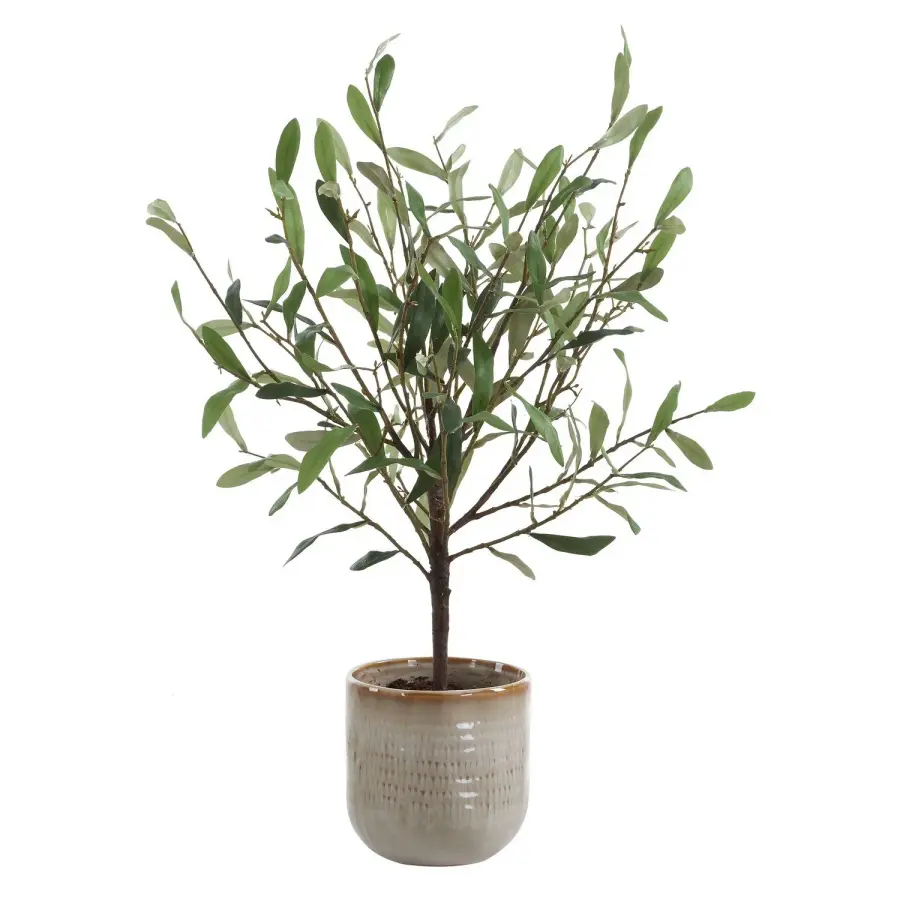 The Uttermost - Solea Olive by Uttermost