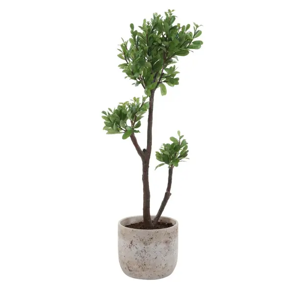 A faux strawberry tree with a lifelike trunk and lush foliage, potted in an aged ivory ceramic urn for organic, low-maintenance charm.