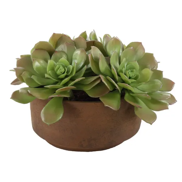 Lush faux echeveria rosettes in a low terracotta pot offer an easy, no-maintenance way to add organic texture to shelves, desks, and tables.