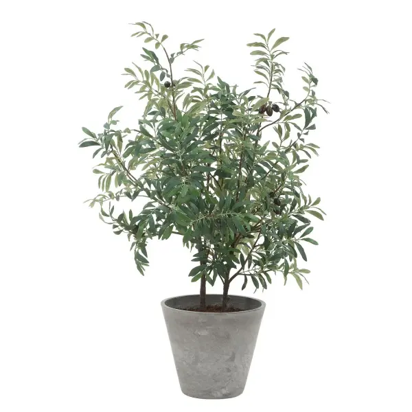 Bring Timeless Mediterranean Elegance To Your Space With This Lifelike Olive Tree. Rich Green Leaves Accented By Natural-looking Olives Create A Full, Organic Silhouette That Adds Warmth And Texture To Any Setting. The Tree Is Planted In A Smooth, Ceramic Pot In Stone Gray With Artificial Soil. Collection: Marisol Designer: Constance Lael-Linyard Finish: Natural-looking Olives Width: 28.50" Height: 45.25" Length: 26.50" Weight: 11.00 lb Material: Polyester,Plastic,Polyfoam,Clay Country of Origin: China Safety Rating: Indoor Only