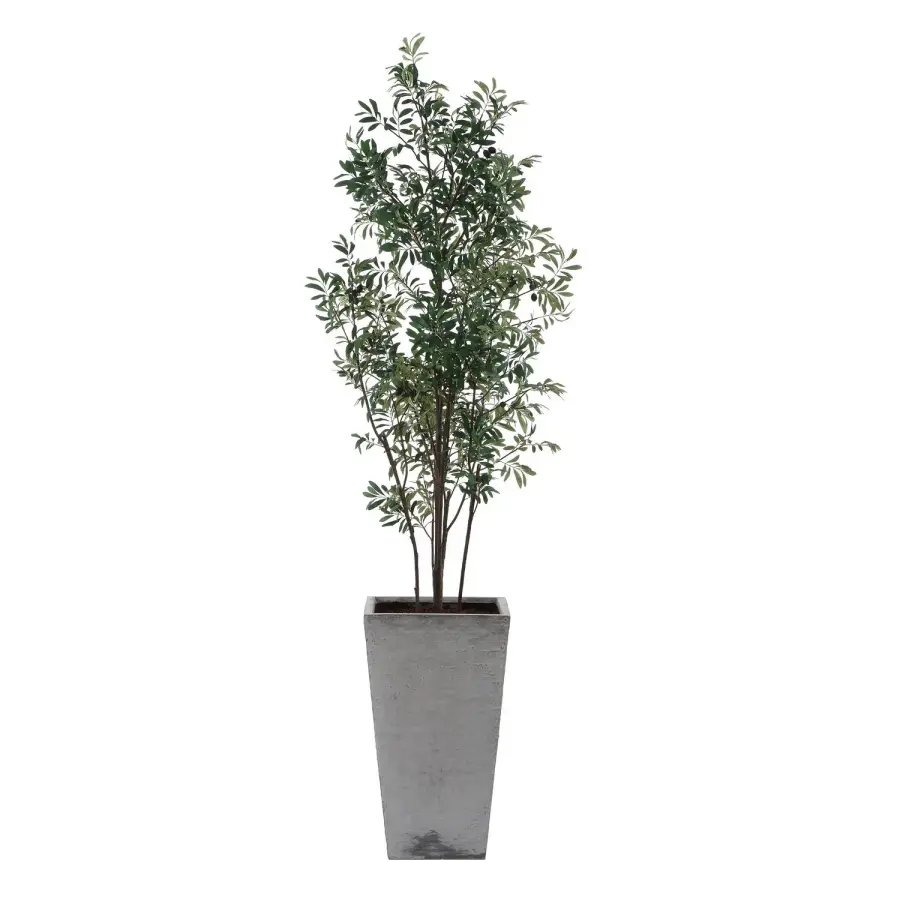 The Uttermost - Sonora Olive by Uttermost