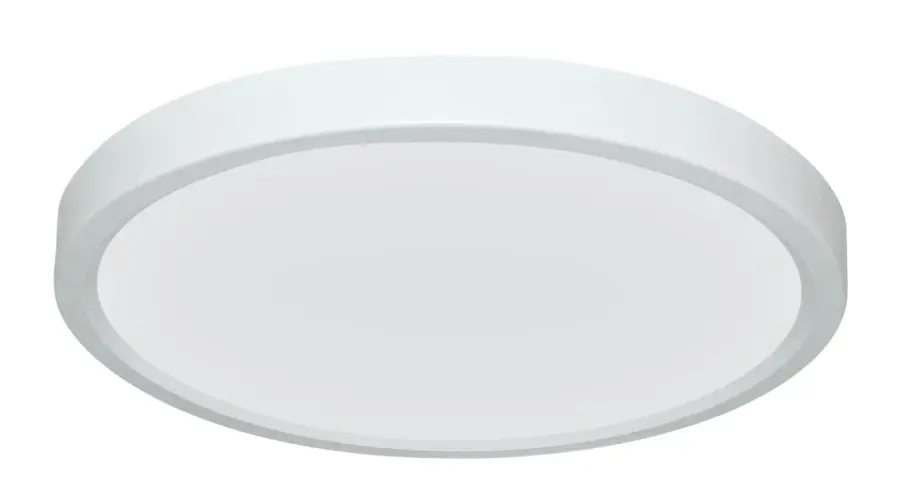 Gabe LED Ceiling Mount