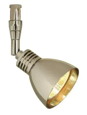 Swivel Head Action Duomo Track Light in Polished Nickel