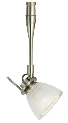 Swivel Head Track Light with Frosted Glass - Satin Nickel