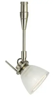 Swivel Head Track Light with Frosted Glass - Satin Nickel