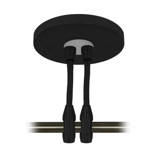 This 4-inch remote canopy provides dual power feed capability for monorail track systems, enabling flexible lighting configurations. Available in three finishes to match your track system.