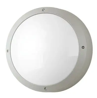 Outdoor Wall Lux Round Open Silver 30W LED DOB