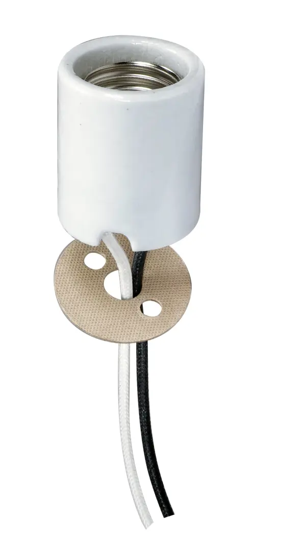 Keyless Porcelain Socket With Paper Liner - Mounting Screws Held Captive - 2 Wireways - 48" Leads Glazed - 660W - 600V