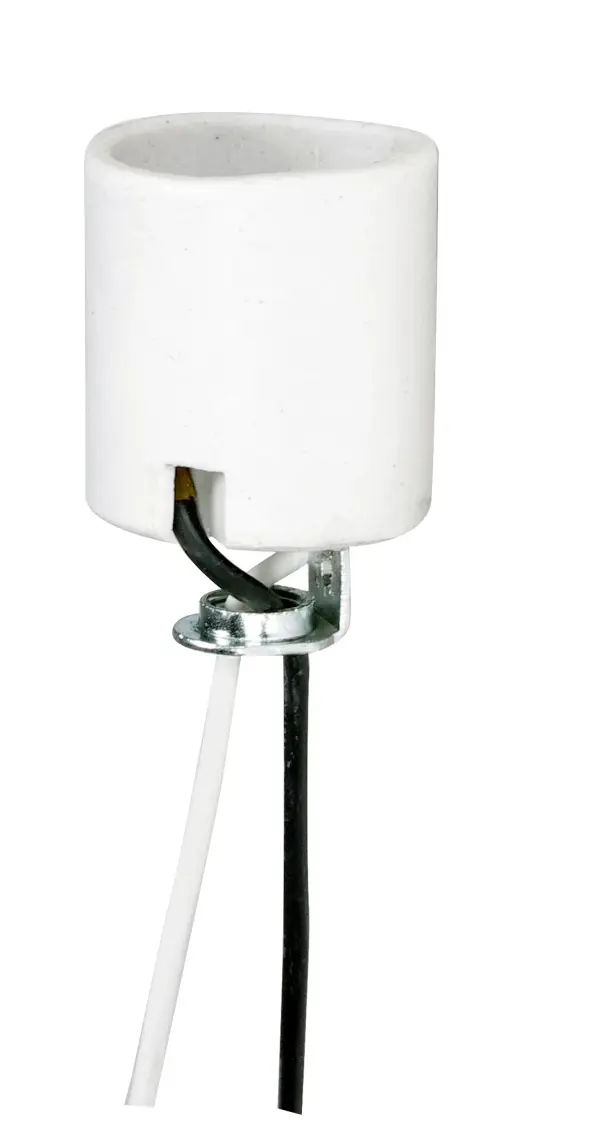 Keyless Porcelain Socket With Hickey - 20" Leads - Unglazed - 660W - 250V